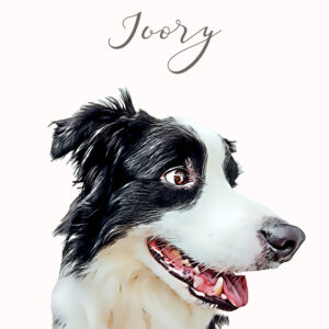 Alternative view of Stilizuotas gyvūnėlio portretas | Unikali dovana | Šuns portretas